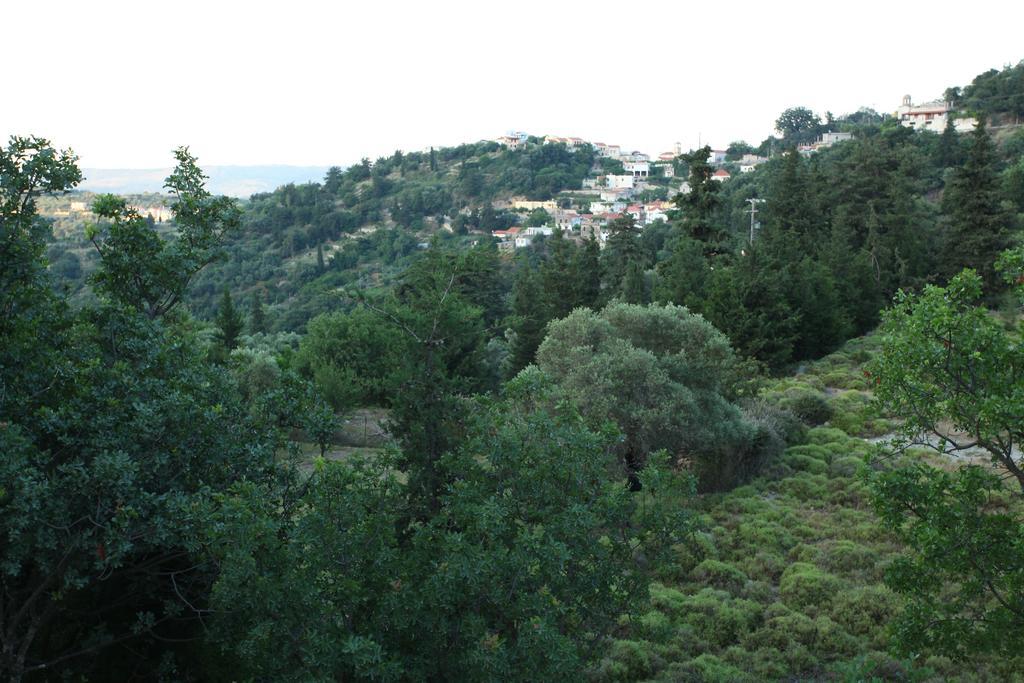 Villa Athina Aryiroúpolis Quarto foto